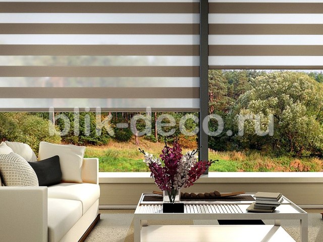 Рулонные шторы и жалюзи День-Ночь (Зебра)